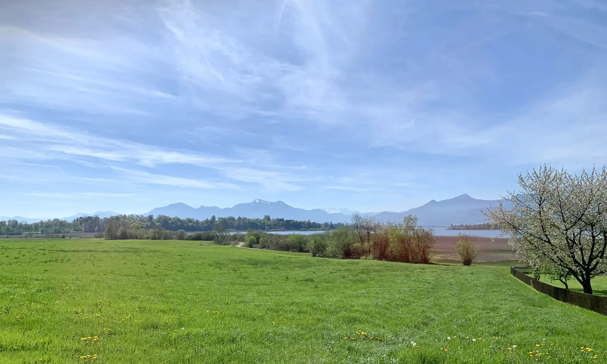 Arbeitsmedizin Traunstein und Chiemgau - Blick über den Chiemsee in die Alpen